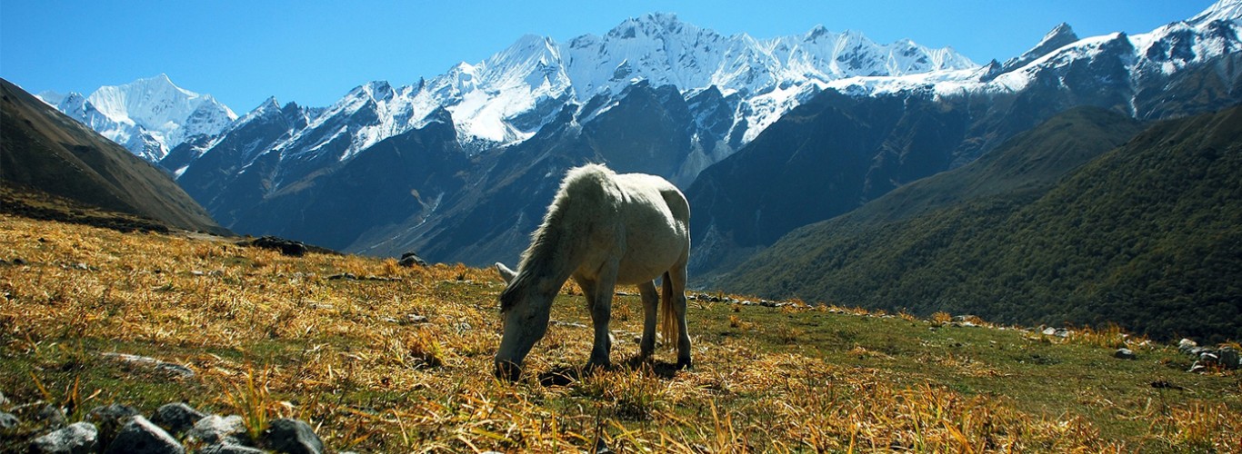 Langtang And Helambu Trek image1 